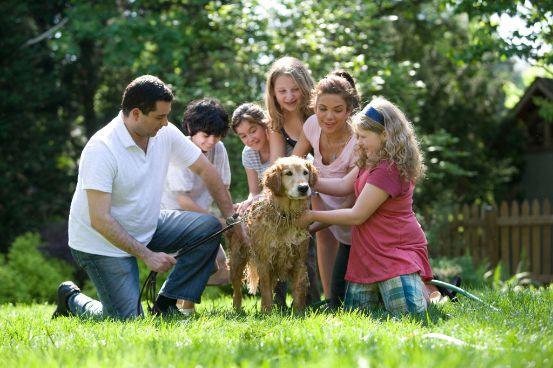 Family petting dog