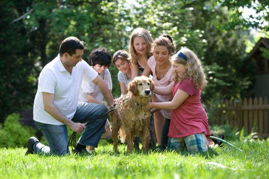 Family petting dog